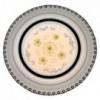 Light Nova