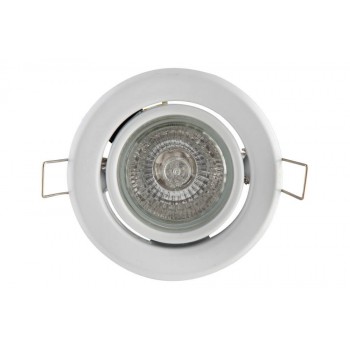 Down Light Dichroic