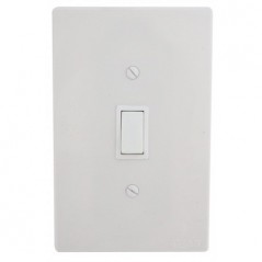 Switch & Cover 50mm X 100mm