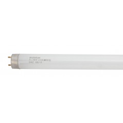 Fluorescent Tube