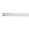 Fluorescent Tube