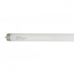 Fluorescent Tube