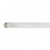 Fluorescent Tube