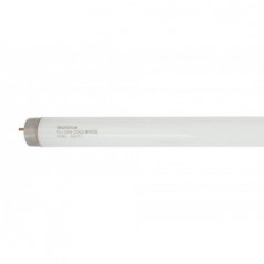 Fluorescent Tube