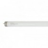 Fluorescent Tube