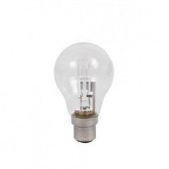 Globe Halogen A55