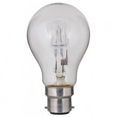 Globe Halogen A55