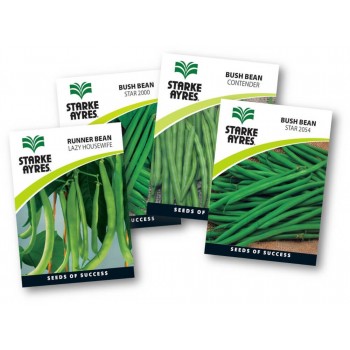 Seed Beans