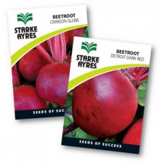 Seed Beetroot