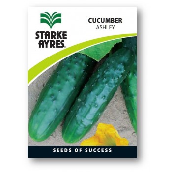 Seed Cucumber