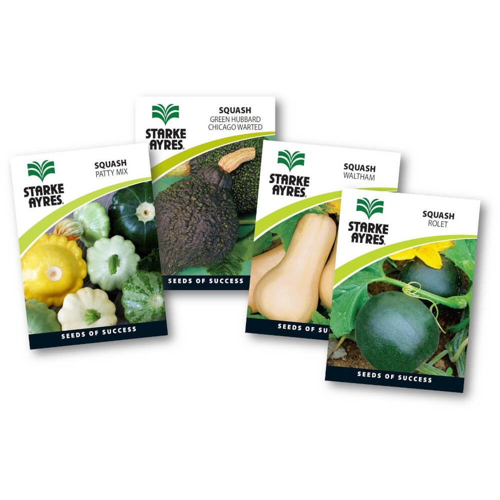 Seed Squash Seed Squash