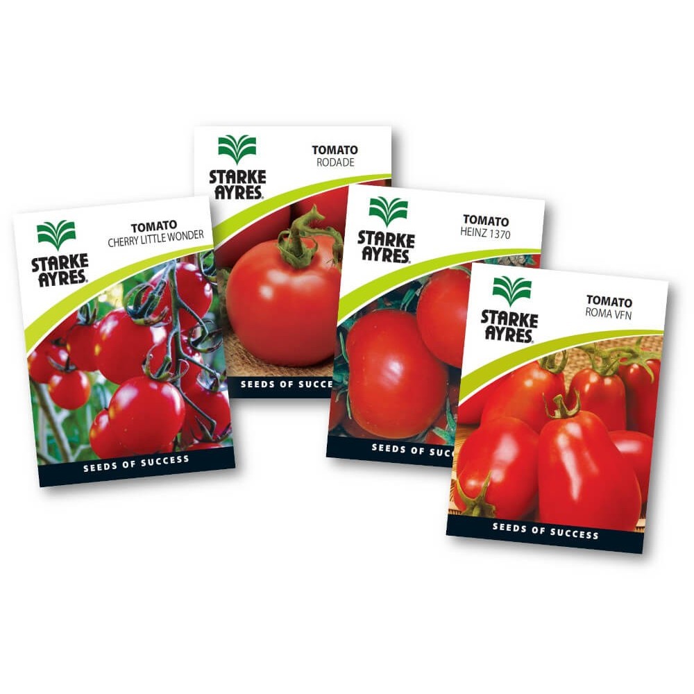 Seed Tomato Seed Tomato