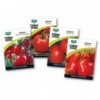 Seed Tomato