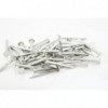 Nails Clout Sabs 1kg