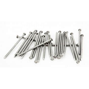 Nails Sabs 100mm X 4mm 2kg