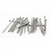 Nails Sabs 100mm X 4mm 2kg