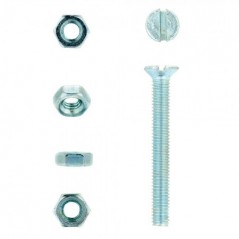 Eureka Machine Screw & Nut 3x25mm Quantity:20
