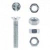 Eureka Machine Screw & Nut 5x30mm Quantity:12