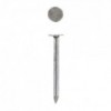 Eureka Nail Clout Semi 25mm Quantity:1kg