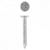 Eureka Nail Clout Galvanised 25mm Quantity:450g