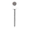 Eureka Nail Clout Semi 25mm Quantity:450g