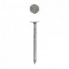 Eureka Nail Clout Semi 25mm Quantity:50g