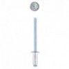 Eureka Rivet 40x10mm Quantity:100