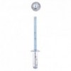 Eureka Rivet 40x12mm Quantity:100