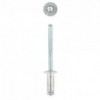 Eureka Rivet 48x12mm Quantity:15