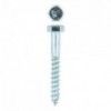 Eureka Coach Screw Galvanised Mild Steel 8x60mm Quantity:10