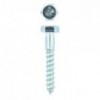 Eureka Coach Screw Galvanised Mild Steel 8x50mm Quantity:10
