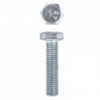 Eureka Set Screw & Nut Galvanised 12x50mm Quantity:6