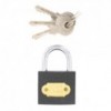 Fort Knox Iron Padlock 30mm Quantity:1