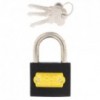 Fort Knox Iron Padlock Keyed Alike 50mm Quantity:1
