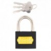 Fort Knox Iron Padlock 50mm Quantity:1