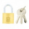Fort Knox Padlock Brass 30mm Econo