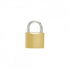 Padlock Iron 38mm, Security Plus, Brass Plated, 2 Keys