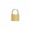 Padlock Iron 38mm, Security Plus, Brass Plated, 2 Keys