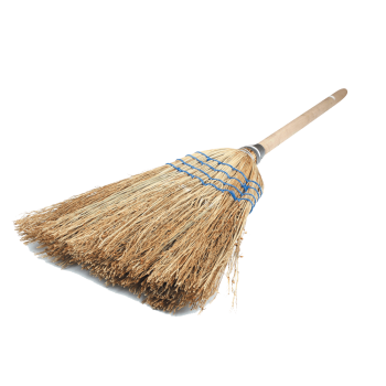 Broom Corn