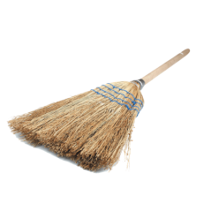 Broom Corn