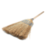 Broom Corn
