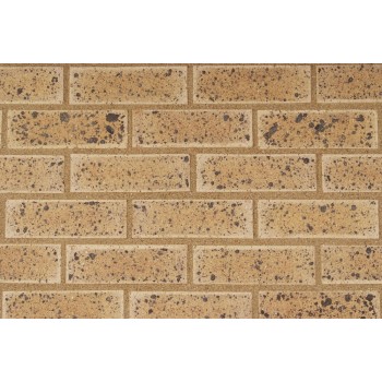 Topaz Travertine Fbs