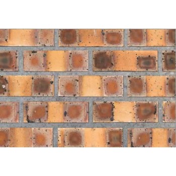 Cameo 2 Face Brick
