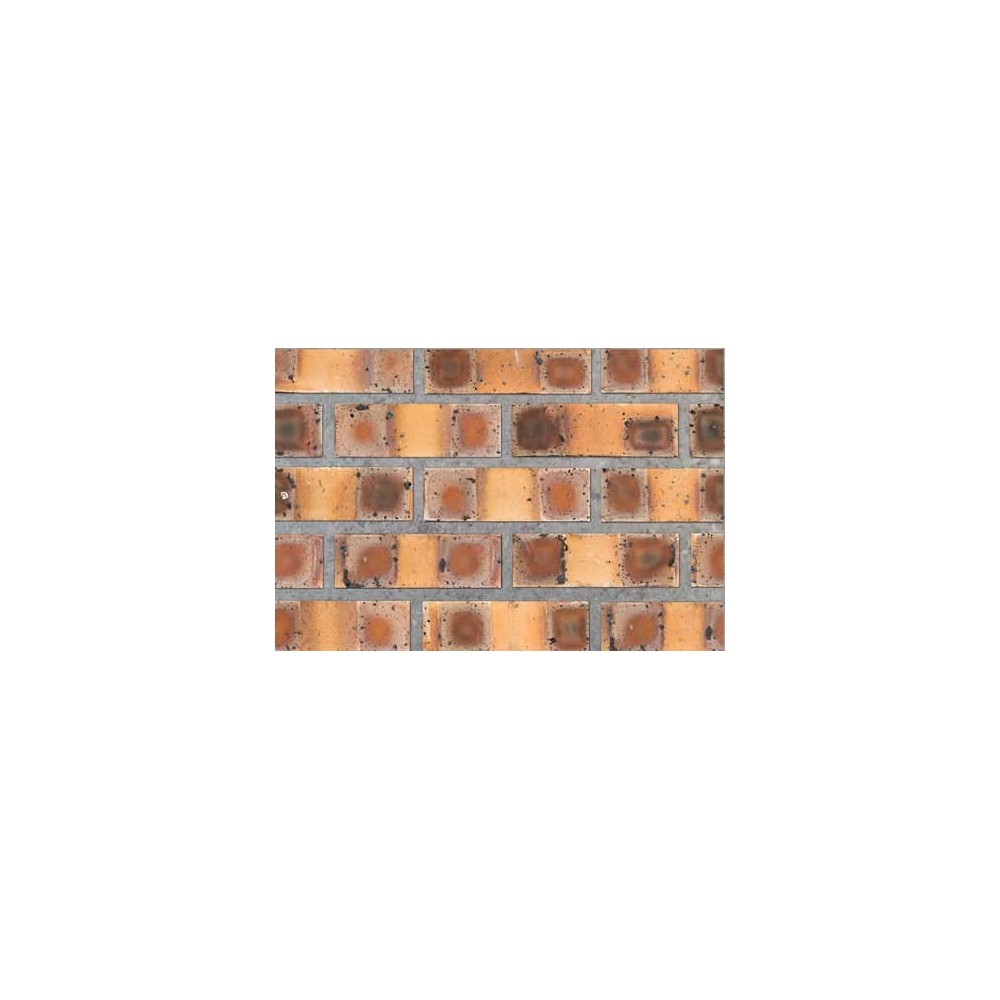 Cameo 2 Face Brick Cameo 2 Face Brick