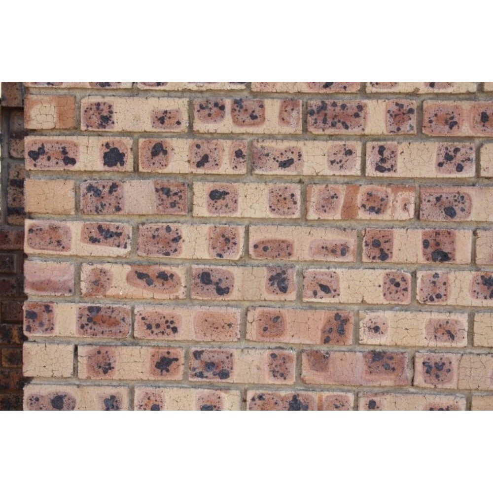 Cameo 3 Face Brick Cameo 3 Face Brick