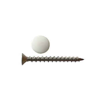 Stainless Steel Screws & Caps Quantity:50