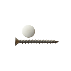 Stainless Steel Screws & Caps Quantity:50