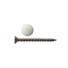 Stainless Steel Screws & Caps Quantity:50
