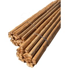 Untreated Gumpole 75x100 6.0m