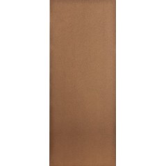 Door Fire Embos Colonist Ee